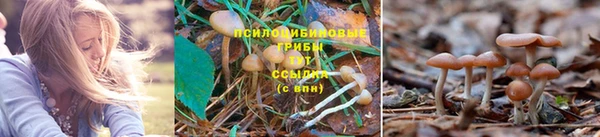 скорость mdpv Абинск