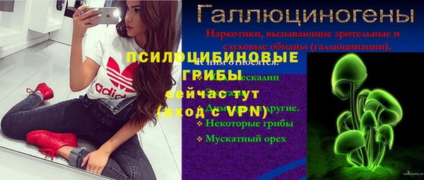 прущие крисы Абаза