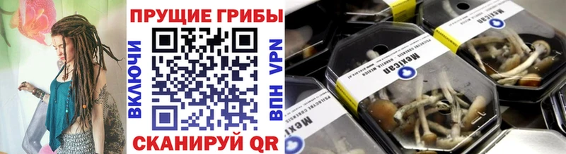Псилоцибиновые грибы GOLDEN TEACHER  Усть-Кут 